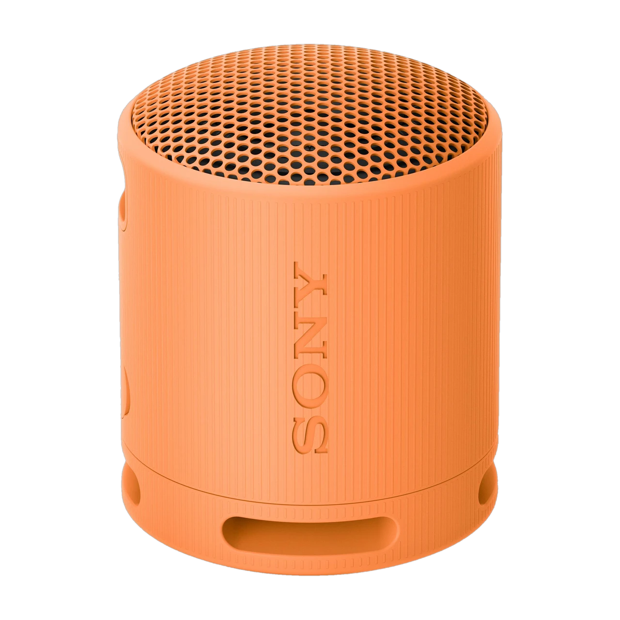 SONY SRS-XB100 Portable Super-Compact,Waterproof, 16Hrs Batt, Extra Bass